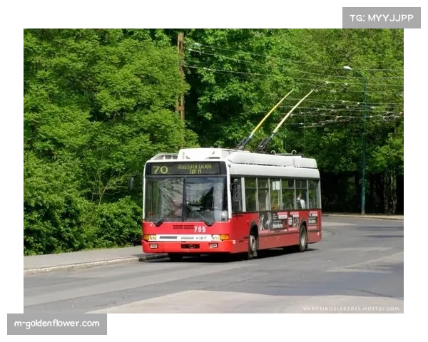 欧冠决赛配套交通方案公布，布达佩斯将增设十条临时公交线路